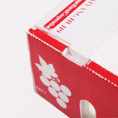 Moisture Proof Vegetable Packaging Box Plastic Corrugated Foldable Boxes