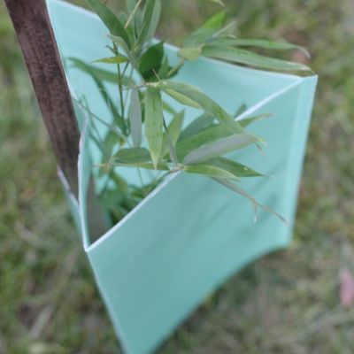 2mm Corflute Corrugated Tree Guards Triangle Plastic Tree Trunk Protectors