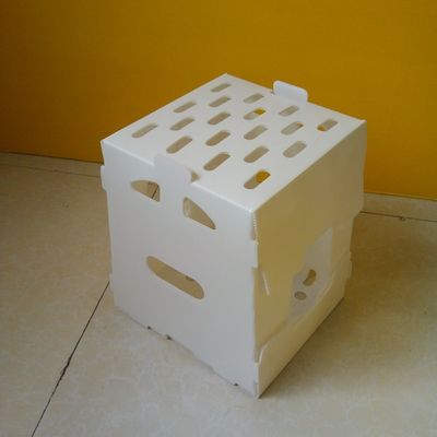 Turnover PP Corrugated Plastic Box Hollow Corflute Storage Boxes