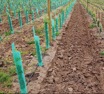 Corrugated Corflute Tree Guards 3mm Polypropylene Tree Guards