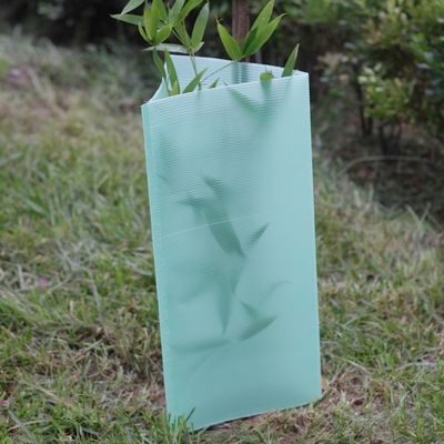 3mm Green Plastic Corflute Tree Guards UV Protector Waterproof