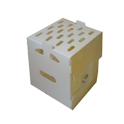 Durable PP Corrugated Plastic Box Vegetable Packaging Box Customized