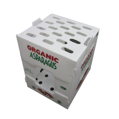 Durable PP Corrugated Plastic Box Vegetable Packaging Box Customized