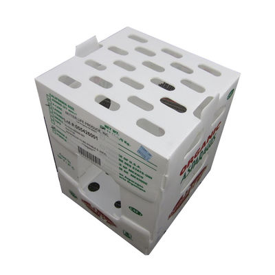 Durable PP Corrugated Plastic Box Vegetable Packaging Box Customized