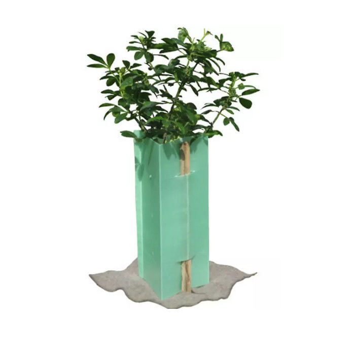 Square 3mm Corflute Tree Guard Weatherproof Corflute Plant Guards