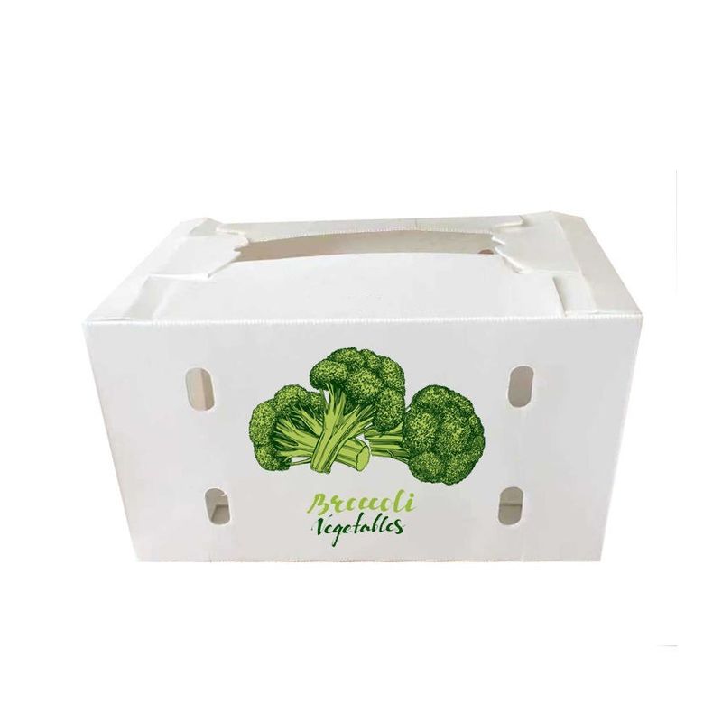 Foldable Coroplast Tomato Packaging Boxes Reusable Vegetable Packing Box
