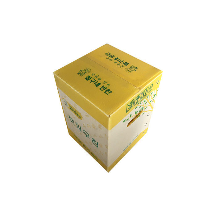 Antiseptic PP Corrugated Plastic Box Logistics Packing Storage Corflute Box