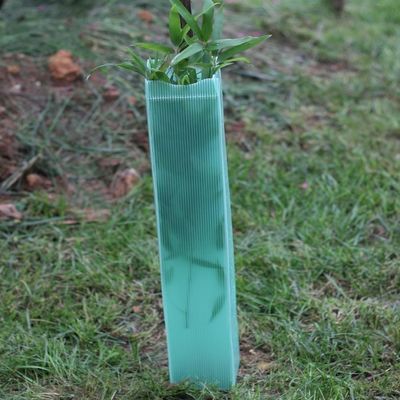 Corflute नालीदार प्लास्टिक ट्री रैप 2mm हार्ड प्लास्टिक ट्री गार्ड
