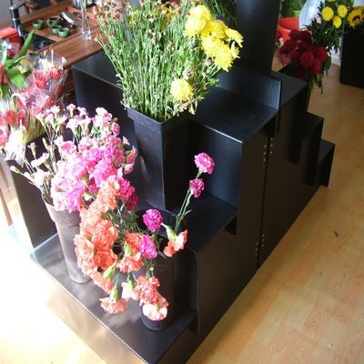 होम गार्डन के लिए काला 5mm Corflute फ्रेश फ्लावर डिस्प्ले स्टैंड