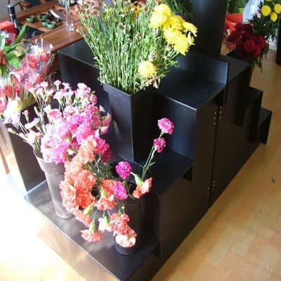 होम गार्डन के लिए काला 5mm Corflute फ्रेश फ्लावर डिस्प्ले स्टैंड