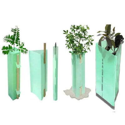 Plastic Tree Guard reusable sustainable tree protection solution made from polypropylene suitable for various tree types and growth stages