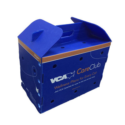 फल शिपिंग समाधानों के लिए जलरोधक और एंटी-इम्पैक्ट सुविधाओं की पेशकश करने वाली पॉलीप्रोपाइलीन सामग्री से बना खाद्य सुरक्षित फल पैकेजिंग बॉक्स