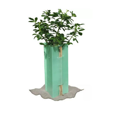 Corflute Tree Guard Eco Friendly Corrugated Plastic Sheet Providing Protection For Young Trees Against Rodents And Chemical Sprays