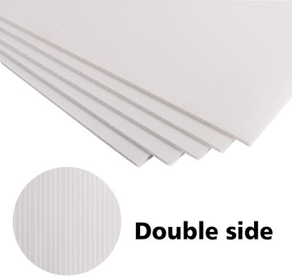 अपने पैकेजिंग और विज्ञापन में पीपी कोरोप्लास्ट शीट की क्षमता को उजागर करें