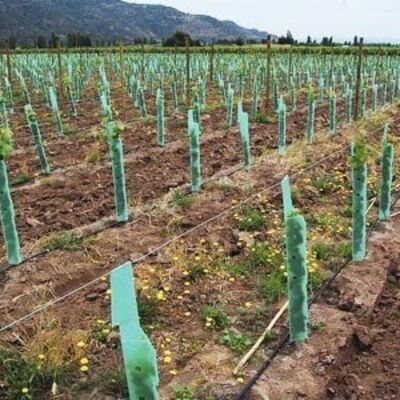 पीपी ट्री गार्ड हल्का, टिकाऊ, जलरोधक और स्थापित करने में आसान है। यह छोटे पेड़ों को हवा, जानवरों और क्षति से बचाता है, आकार, रंग, मोटाई और डिजाइन को अनुकूलित करता है।